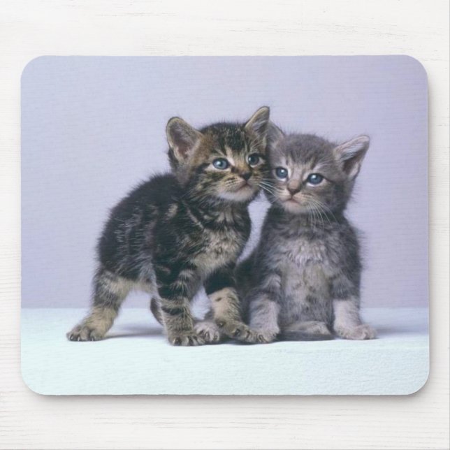 cuddy kittens! mouse mat (Front)