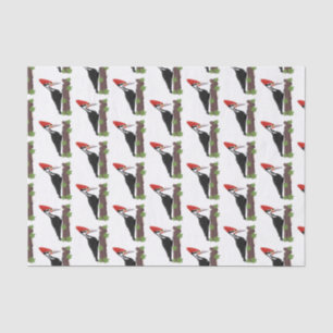 Cue funny Pileated woodpecker cartoon illustration Tissue Paper