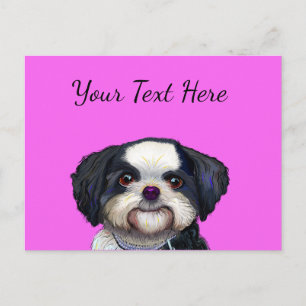 Cue Shih Tu Dog Design, adorable puppy image Postcard