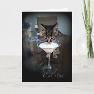 Cujo the Cat Milktini Holiday Card