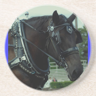 culpeper va draught horse show coaster