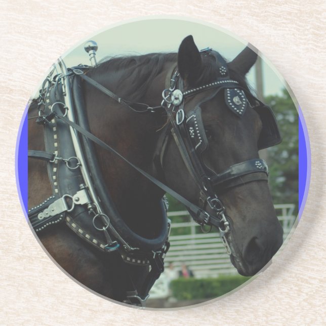 culpeper va draught   horse show coaster (Front)