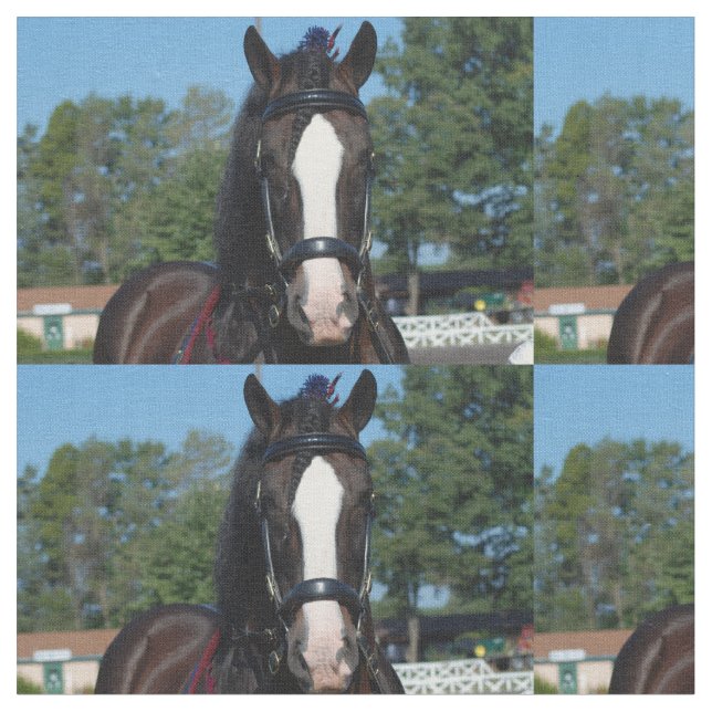 culpeper va draught   horse show fabric (Close Up)