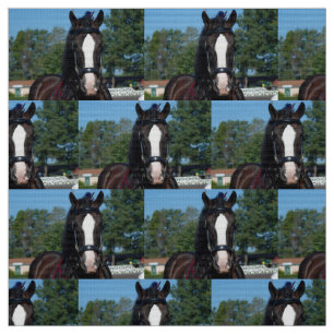 culpeper va draught horse show fabric
