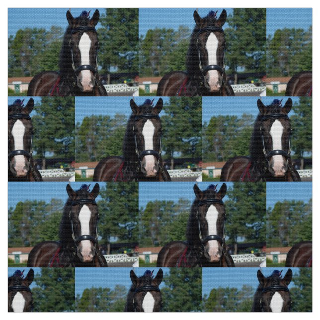 culpeper va draught   horse show fabric (Swatch)