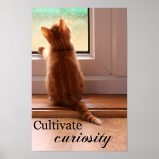 Cultivate Curiosity extra small poster