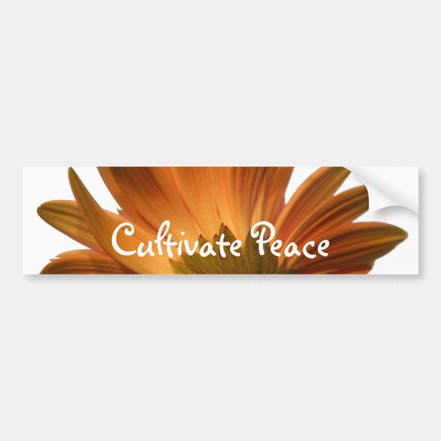 Cultivate Peace Bumper Sticker (Front)