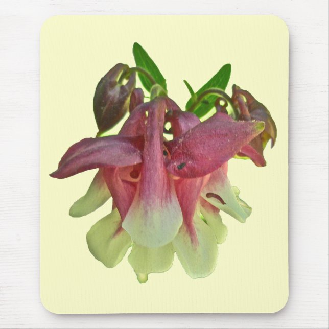 Cultivated Columbine Mousepad (Front)