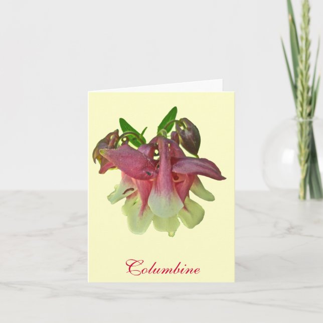 Cultivated Columbine Note Card (Front)