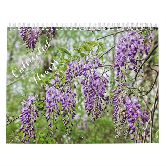 Cultivated Flowers Calendar (Cover)