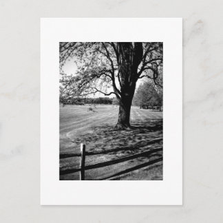 Culver Academies, Black and White Postcard