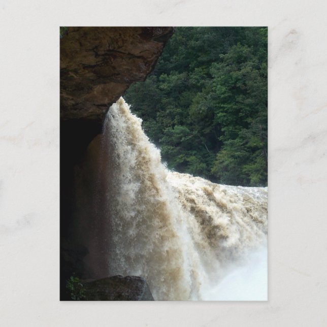 Cumberland Falls, KY Postcard (Front)