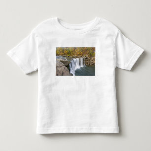 Cumberland Falls State Park near Corbin Kentucky Toddler T-Shirt