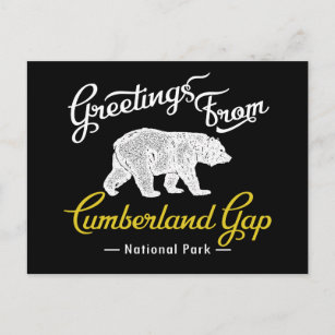 Cumberland Gap National Park Bear Postcard