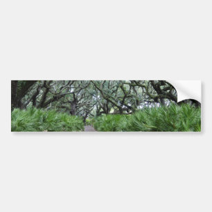 Cumberland Island Bumper Sticker