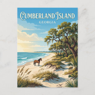 Cumberland Island Georgia Postcard