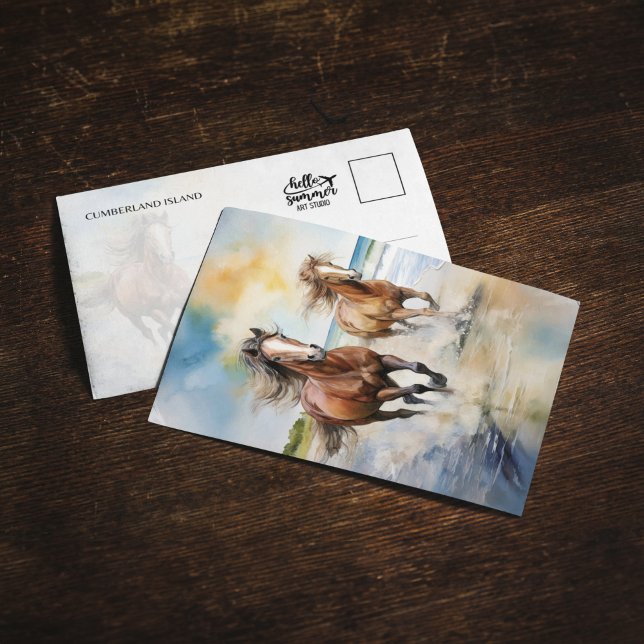 Cumberland Island National Park Horses Postcard (Creator Uploaded)