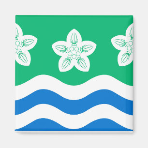 Cumberland (UK county) Magnet