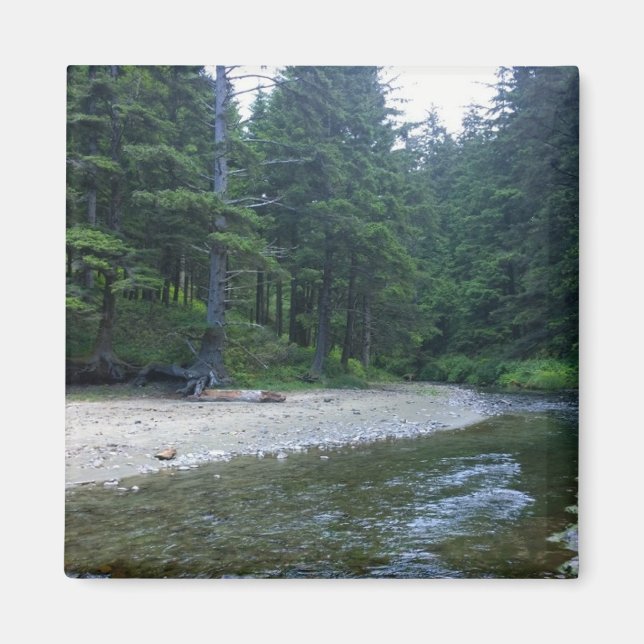 Cummins Creek at Neptune State Park, OR Magnet (Front)