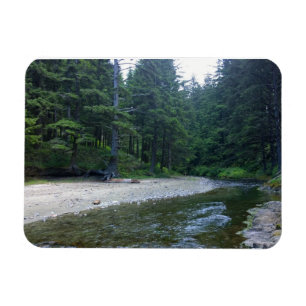 Cummins Creek at Neptune State Park, OR Magnet