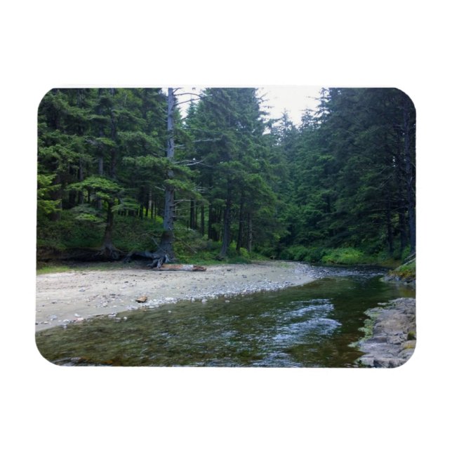 Cummins Creek at Neptune State Park, OR Magnet (Horizontal)