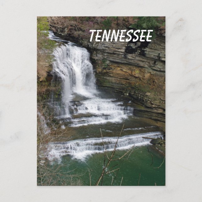 Cummins Waterfall Postcard (Front)