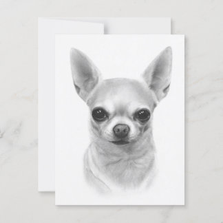 "Cunami" Hand Painted Chihuahua Portrait Postcard