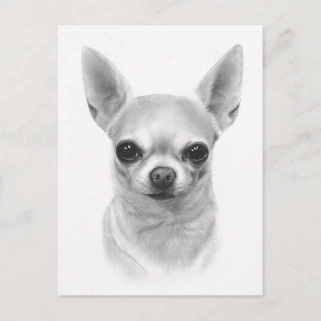 "Cunami" Hand Painted Chihuahua Portrait Postcard (Front)