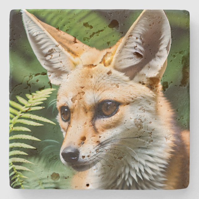 Cunning Fennec Fox, Stone Coaster (Front)