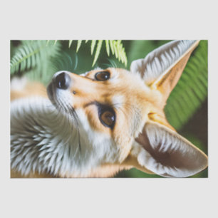 Cunning Fennec Fox, Tissue Paper