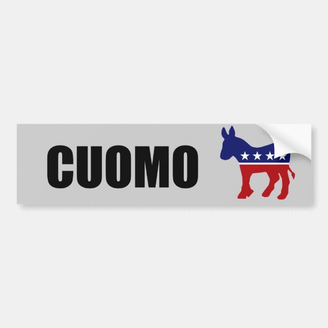 CUOMO 2010 BUMPER STICKER (Front)
