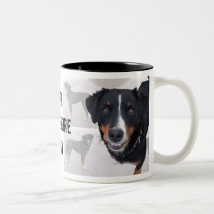 cup "Appenzeller Sennenhund"