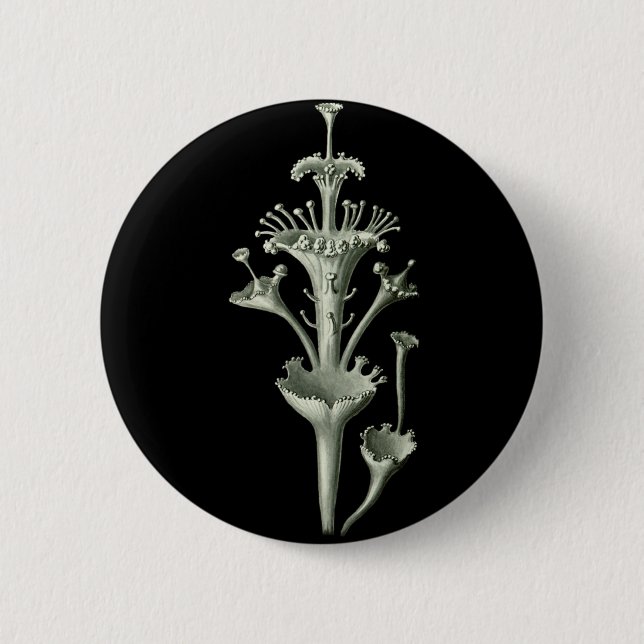 Cup Lichen 6 Cm Round Badge (Front)