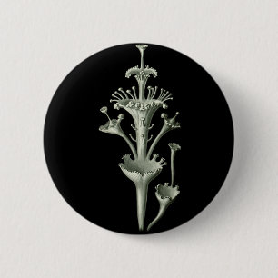 Cup Lichen 6 Cm Round Badge