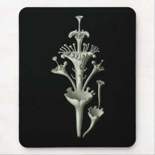 Cup Lichen Mouse Mat
