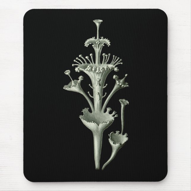 Cup Lichen Mouse Mat (Front)