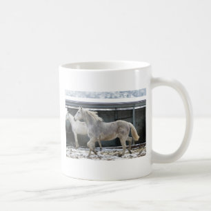 Cup of Champions