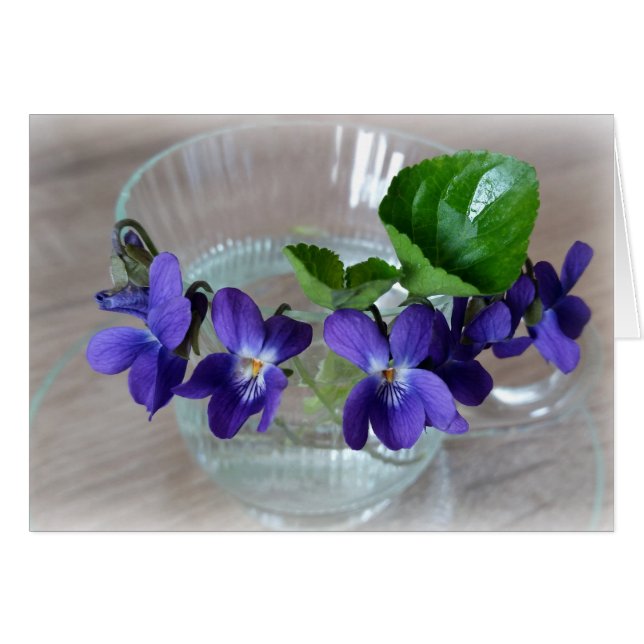 cup of violets (Front Horizontal)