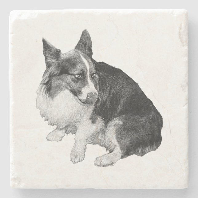 Cup Perch, Foxy Friend Stone Coaster (Front)