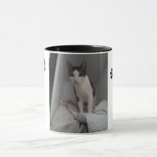 Cup pretty cat