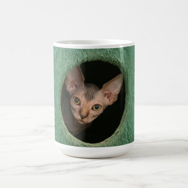 Cup with a cute sphynx kitten (Center)