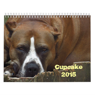 Cupcake 2015 Calendar