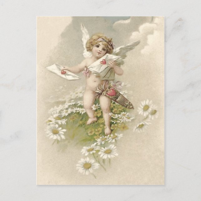 Cupid Cherub Angel Valentine Daisy Holiday Postcard (Front)