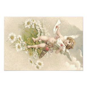 Cupid Cherub Angel Valentine Daisy Photo Print