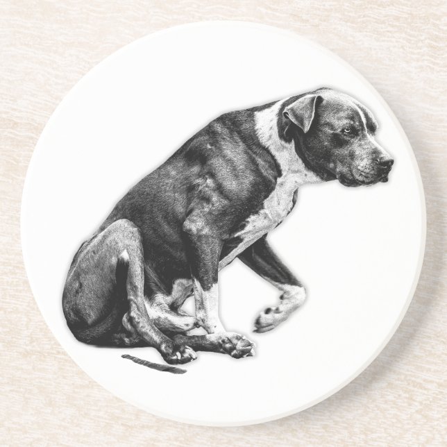 Cupside Companion – Paused Posture Coaster (Front)
