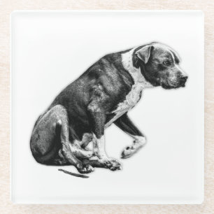 Cupside Companion – Paused Posture Glass Coaster