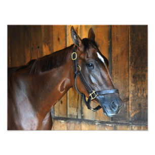 Curalina Photo Print