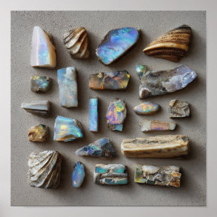 Curated Collection of Small Opalized Fossils Poster
