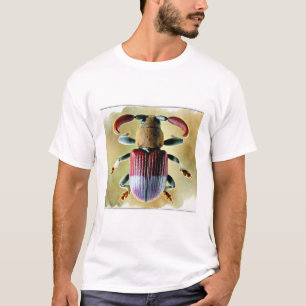 Curculio weevil 251024IREF204 - Watercolor T-Shirt