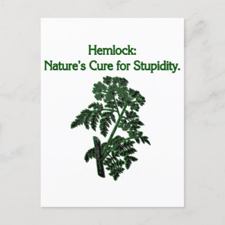 Cure for Stupid Hemlock Plant Dark Humour Holiday Postcard